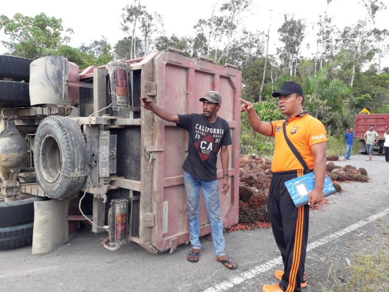 Truck Bermuatan Kelapa Sawit Terguling