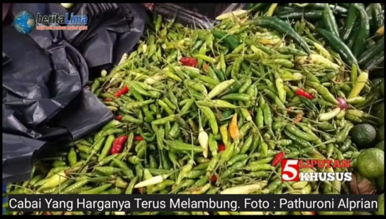 Harga Cabai Tembus Rp 150 Ribu Beritalima