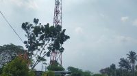 Tower Seluler di Desa Bayem Kasembon