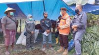 HM. Arum Sabil menyalurkan bantuan pakan ternak di sekitar Gunung Semeru (Istimewa/ beritalima.com)