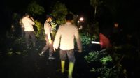 Petugas sedang mengevakuasi pohon yang roboh ke jalan (beritalima.com/istimewa)