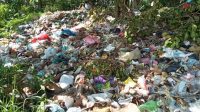Tumpukan sampah yang berada dipinggir jalan Desa Jenggawah (beritalima.com/sugik)