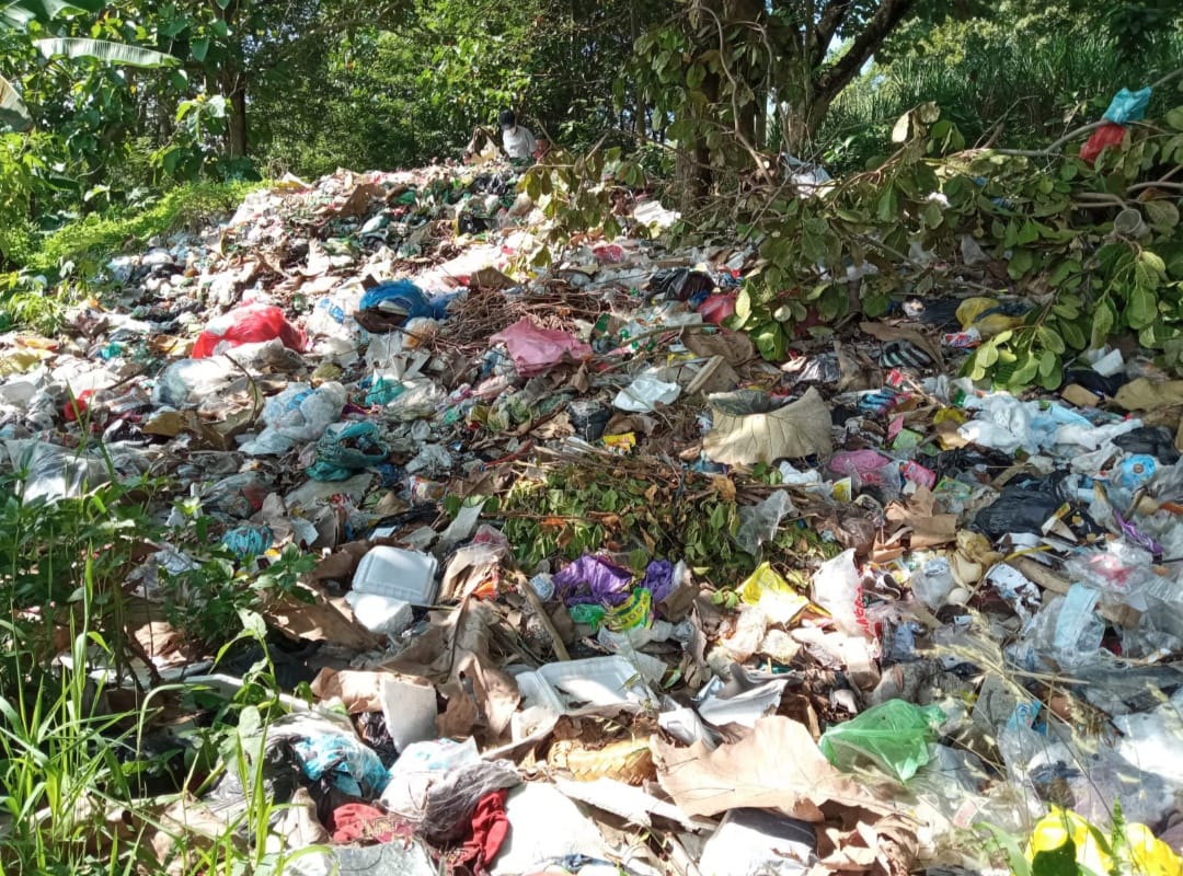 Tumpukan sampah yang berada dipinggir jalan Desa Jenggawah (beritalima.com/sugik)
