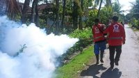 Petugas PMI Jember melakukan fogging dihalaman rumah warga (beritalima.com/istimewa)