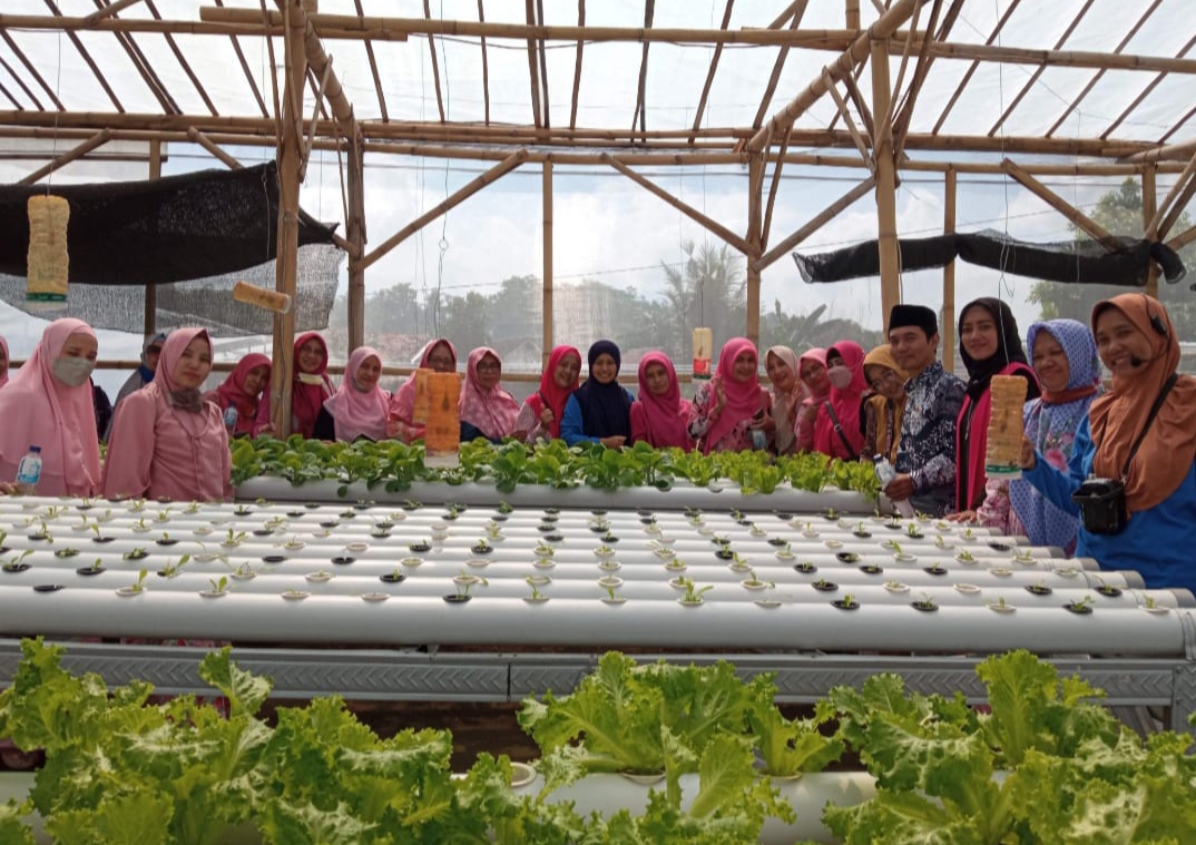 Didampingi Kepala KUA Sumbersari, Ibu-ibu di Jember melihat secara langsung proses tanaman Hidroponik (beritalima.com/sugik)