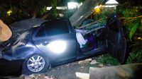 Mobil yang ditimpa pohon tumbang di Jalan PB Sudirman Patrang (beritalima.com/istimewa)