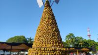Sebanyak 2.023 durian berbentuk gunungan dibagikan secara gratis (beritalima.com/istimewa)