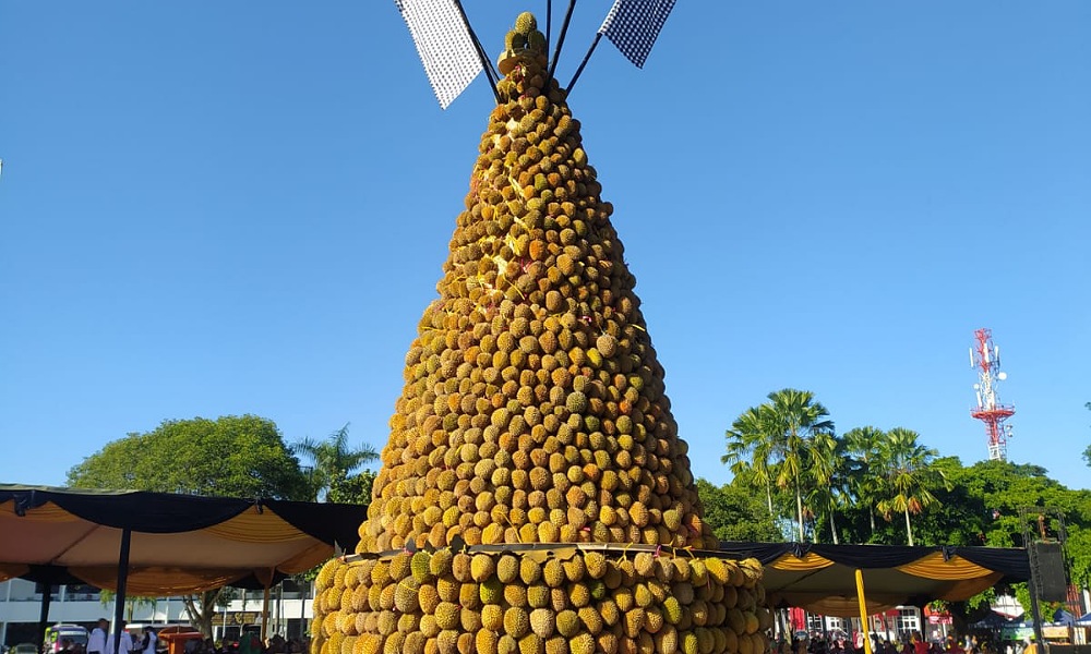 Sebanyak 2.023 durian berbentuk gunungan dibagikan secara gratis (beritalima.com/istimewa)