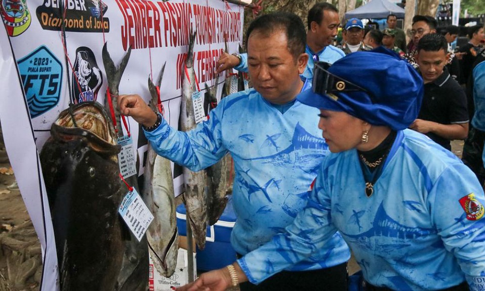 Bupati Hendy melihat langsung ikan juara pertama Jember Fishing Tourism (beritalima.com/Kominfo)
