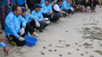 Bupati Hendy melepas puluhan penyu di Pantai Papuma (beritalima.com/Kominfo)
