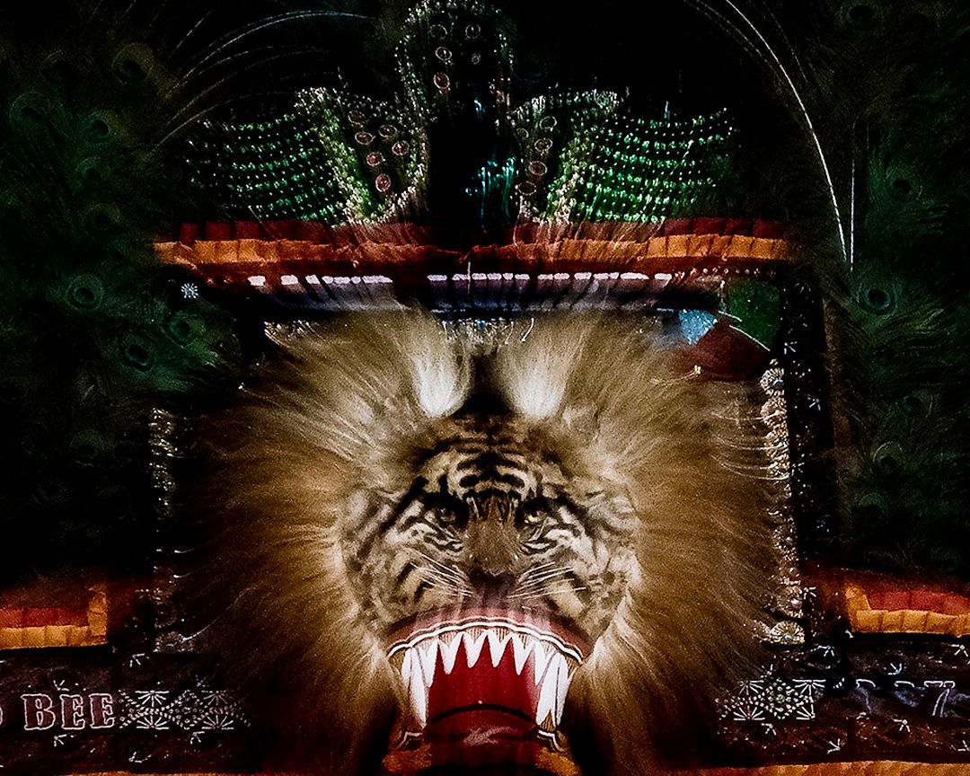 WhatsApp Image 2025-11-01 at 06.49.53